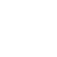 IP Portfolio