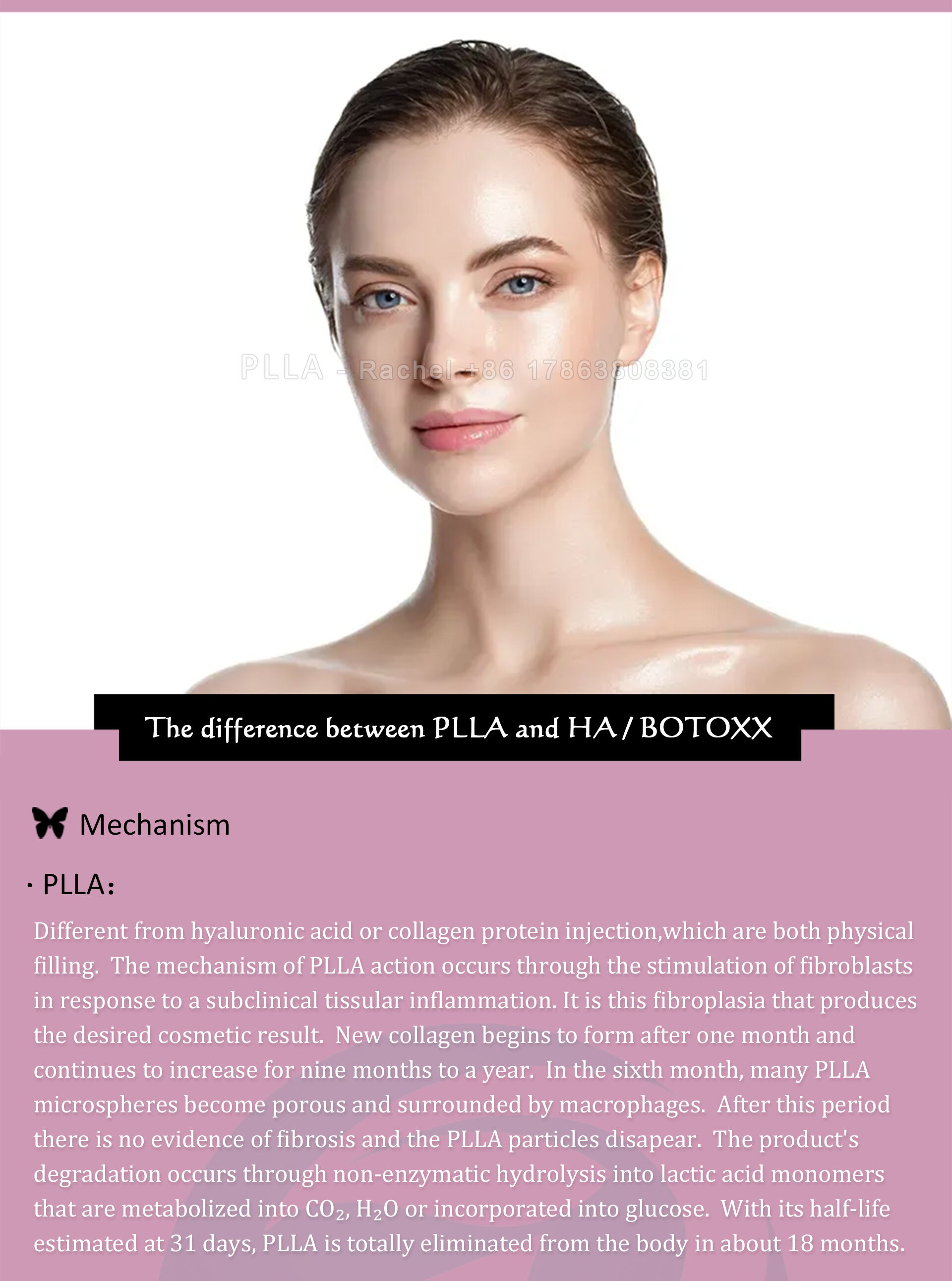 Rachel PLLA 新 -- (6).jpg