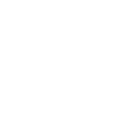 Expert Network