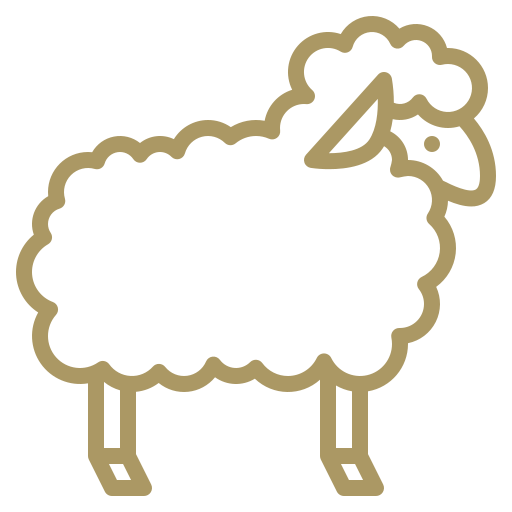 Merino Wool