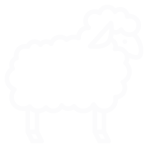 Merino Wool