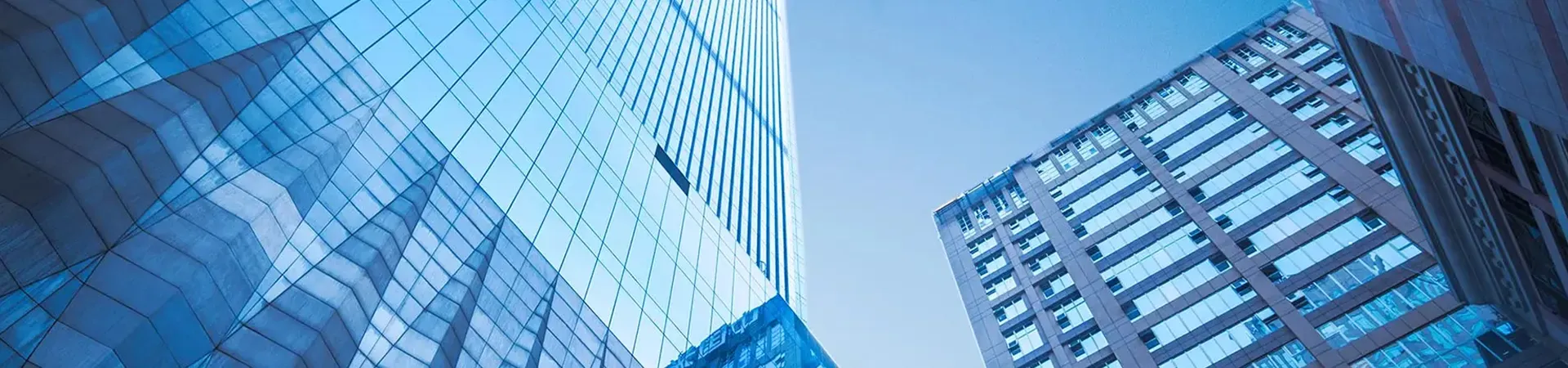 COMPANY PROFILE