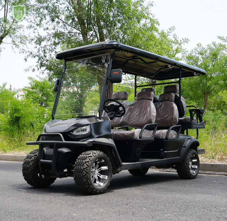 Tendências de Personalização em Carrinhos de Golfe Elétricos para o Jogador Moderno  