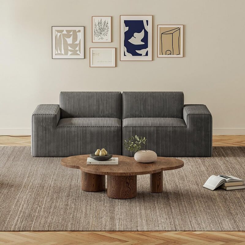 2 Seaters Vacuum Packed Boneless Modular Sectional Compressed Sofas Set Living Room Furniture