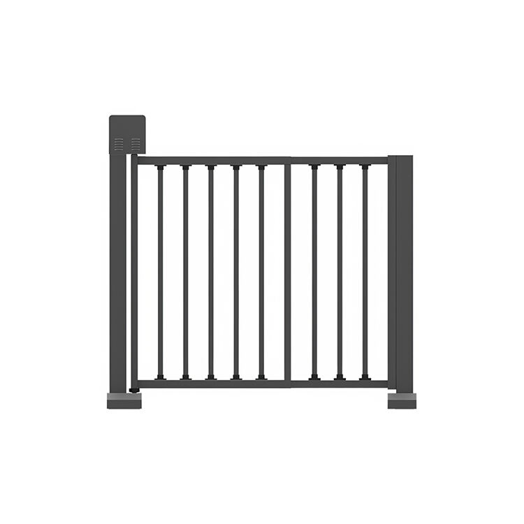 Smart gate Pedestrian Passing face recognition security access control 