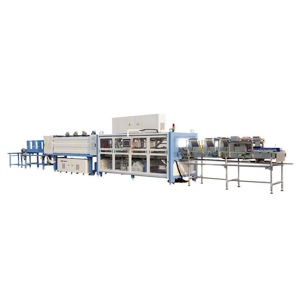 High-Efficiency Conveyor Technology