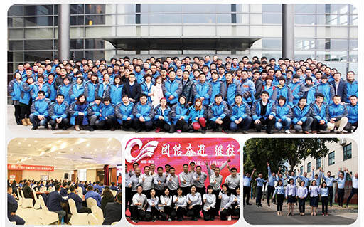 Meet Our Team