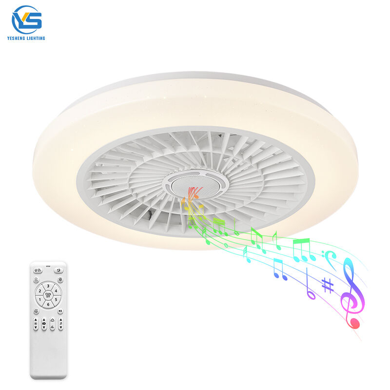 XD207 Fan Light Fixtures & Remote Control Fan with Light