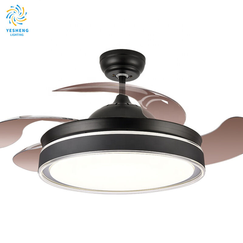 product black 6blade nordic ceiling fan light dining living room black 6 blades ceiling fans with lights and remote control for bedroom-6