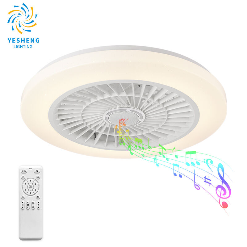 XD207 Fan Light Fixtures & Remote Control Fan with Light
