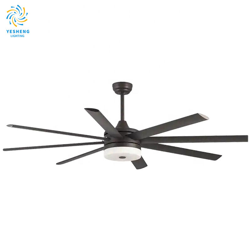 ceiling fan-2