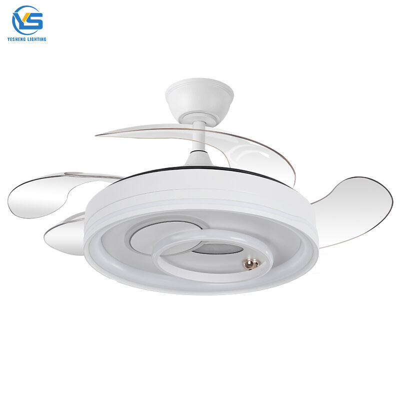 Wit Plafonwaaiermetligte, Kandelaarwaaiermetligte