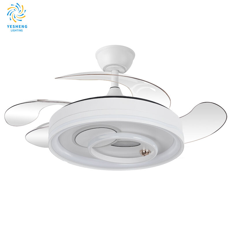 Wit Plafonwaaiermetligte, Kandelaarwaaiermetligte