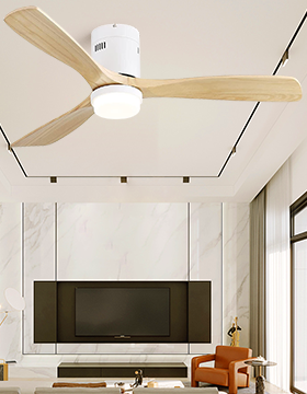 Traditioneller Flügelventilator