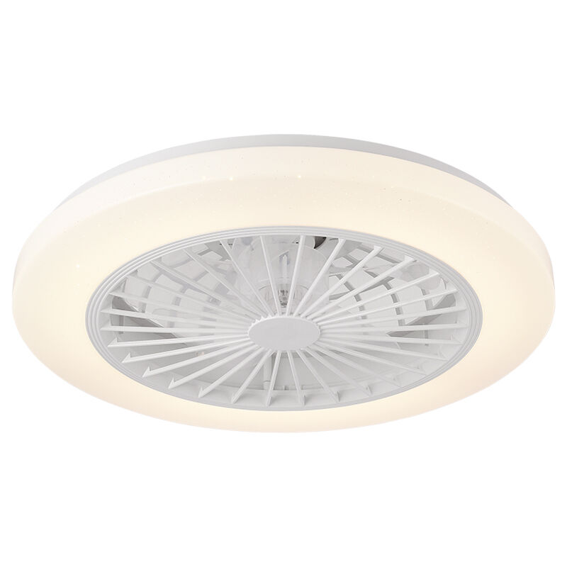 XD207 Fan Light Fixtures & Remote Control Fan with Light