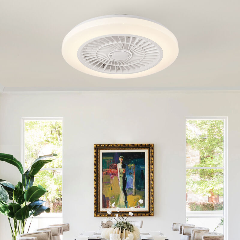 XD207 Fan Light Fixtures & Remote Control Fan with Light