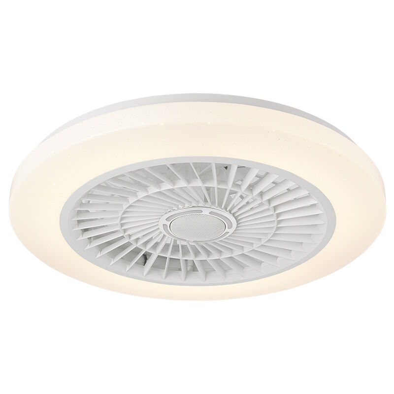 XD207 Fan Light Fixtures & Remote Control Fan with Light