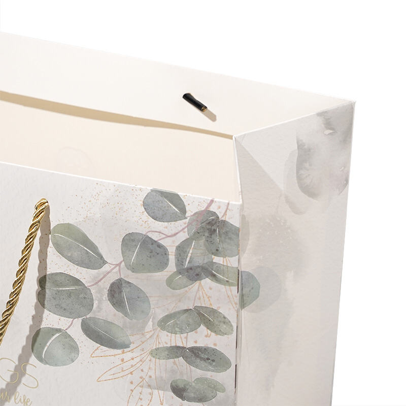 fig4-paper-bag.jpg