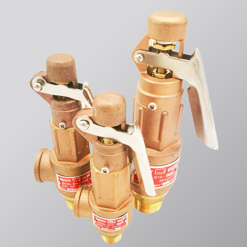 Manual Brass Boiler Safety Relief Valve - 1/2