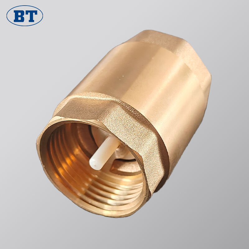 Brass Spring Vertical Check Valve - 1/2