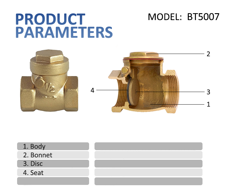 Brass-Check-Valve.png