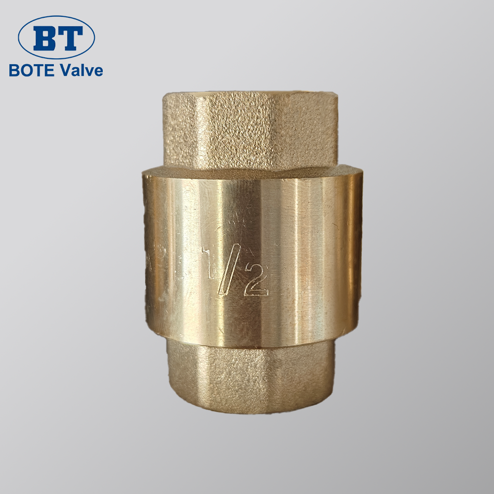 Solusi Katup Periksa Premium 2 Inci