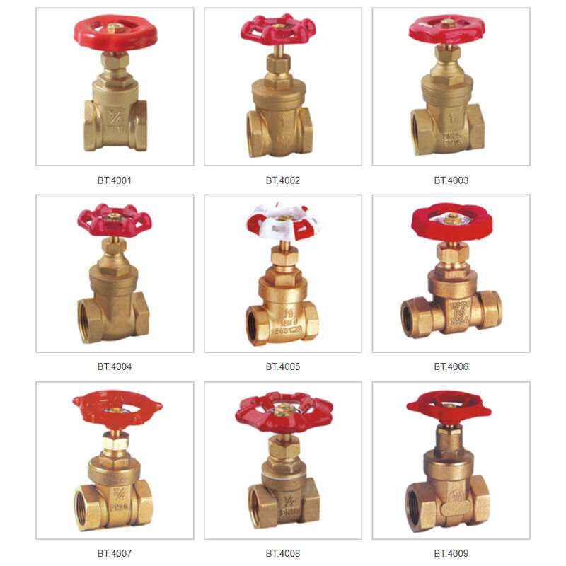 Design Innovativo per un Ottimo Rendimento