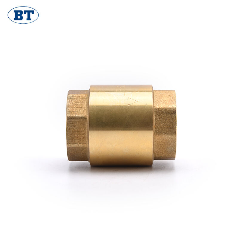 Brass Spring Vertical Check Valve - 1/2