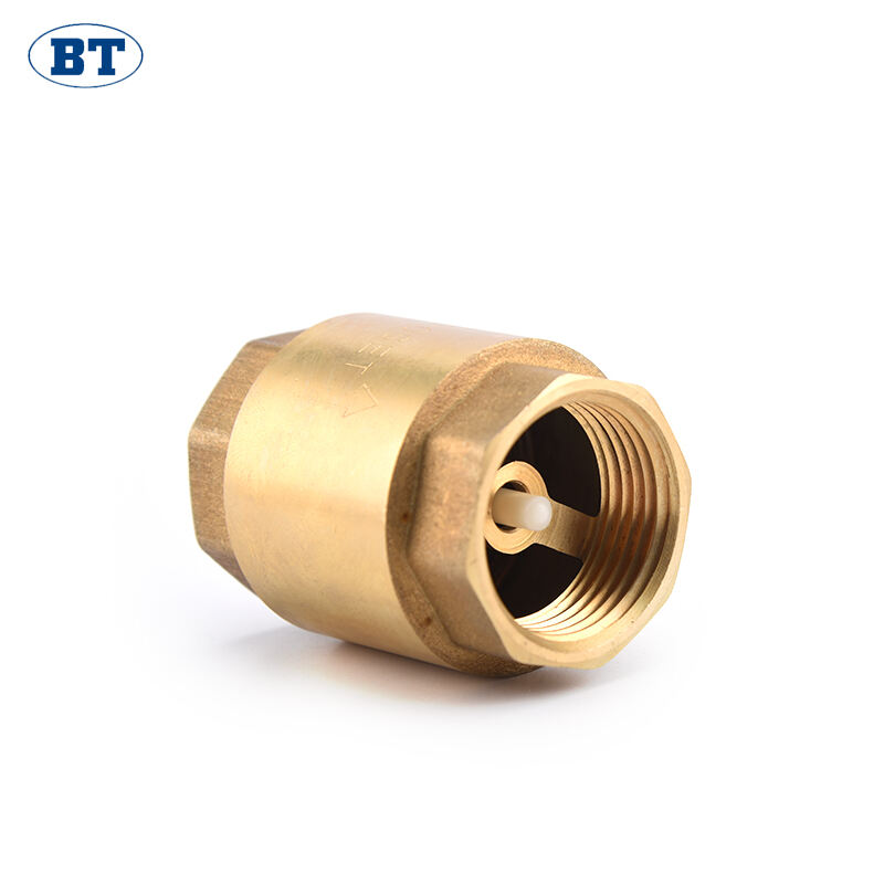 Brass Spring Vertical Check Valve - 1/2
