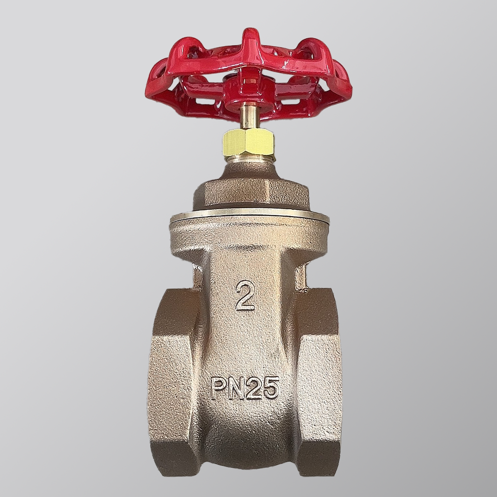 Valvola a Saracinesca in Ottone da 2 Pollici di Qualità Premium per i Mercati Globali