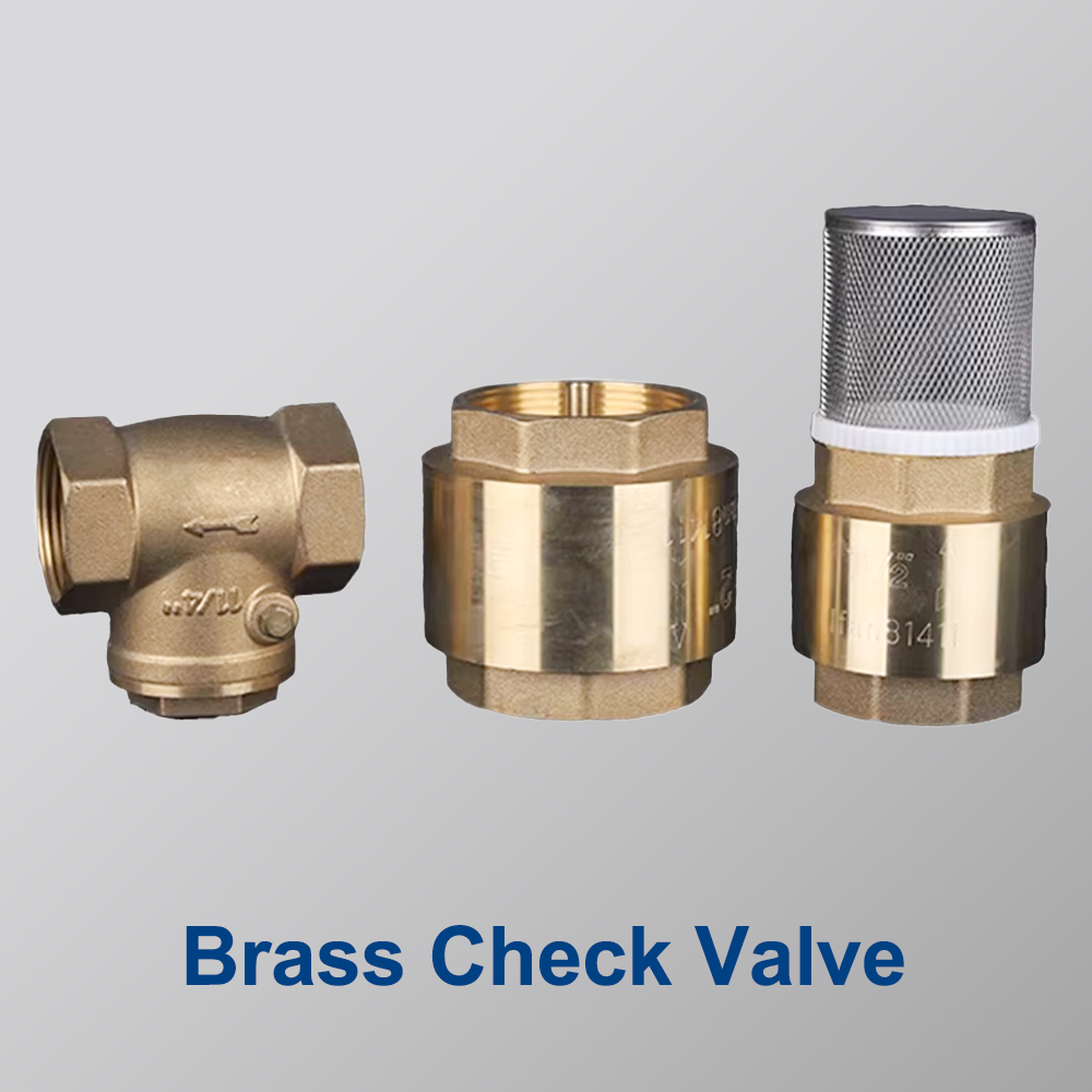 Katup Non Return Berkualitas Tinggi dari Yuhuan Bote Valves Co., Ltd.