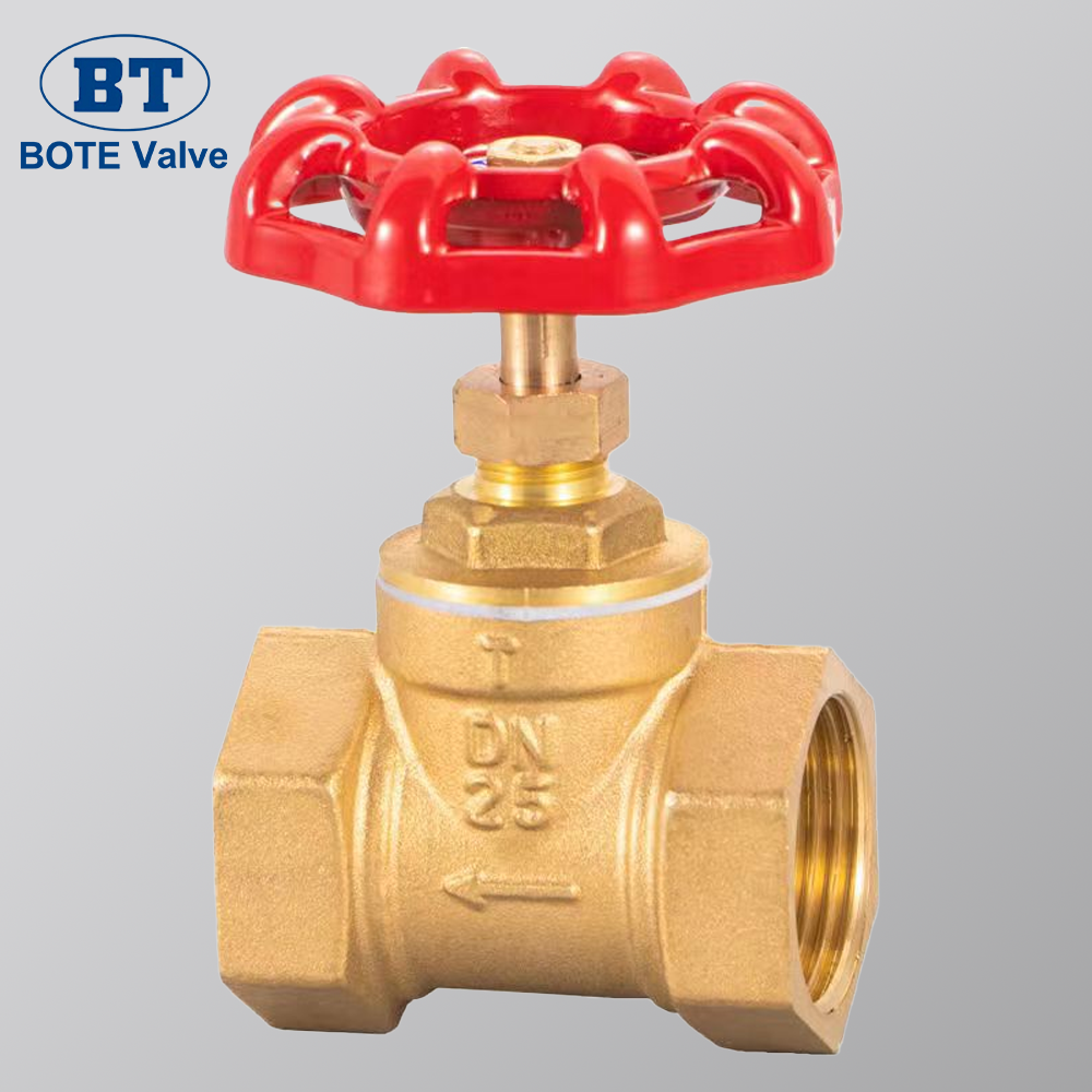 Valvole a globo premium per applicazioni globali