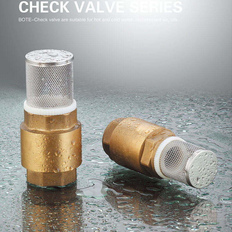 Spring Check Valve | High-Performance Backflow Prevention