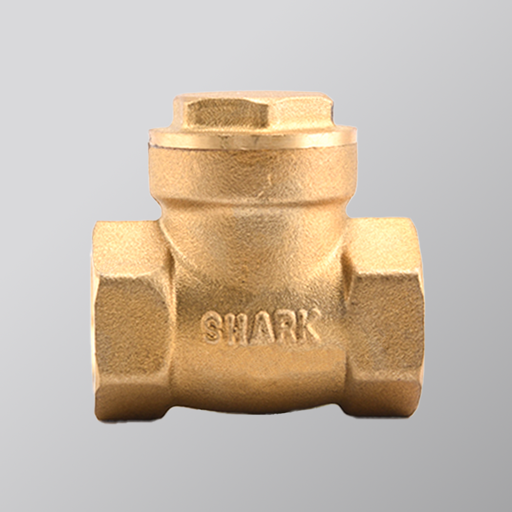 Top Benefits of Using Check Valve in Fluid Control Systems
