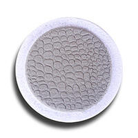 Alligator Gray+White
