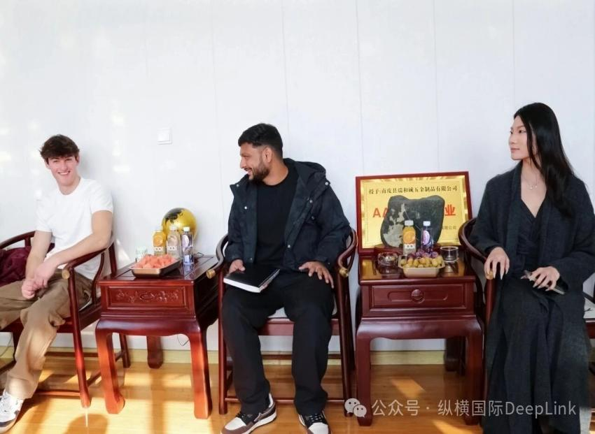 Deepening Cooperation: DEEPLINK Hosts Global Partners