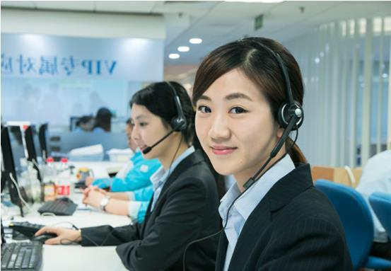 Professional Technical Support