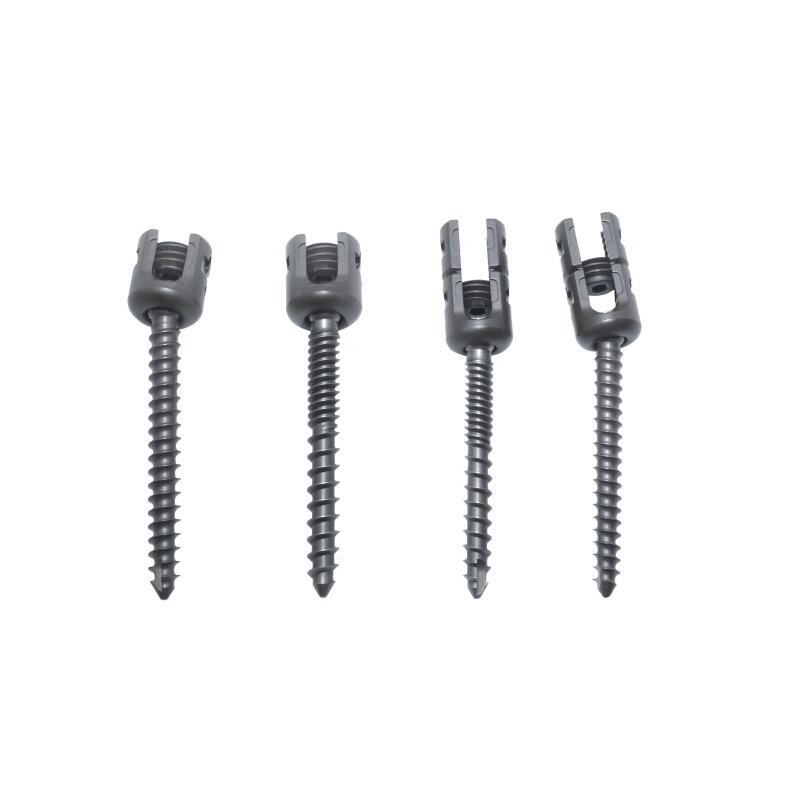 5.5 & 6.0mm Polyaxial Pedicle Screws System | Titanium Spinal Fixation System