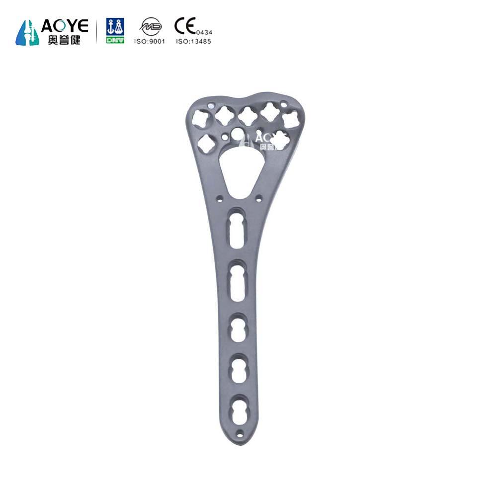 Distal Radius Volar Double-column Locking Plate-II