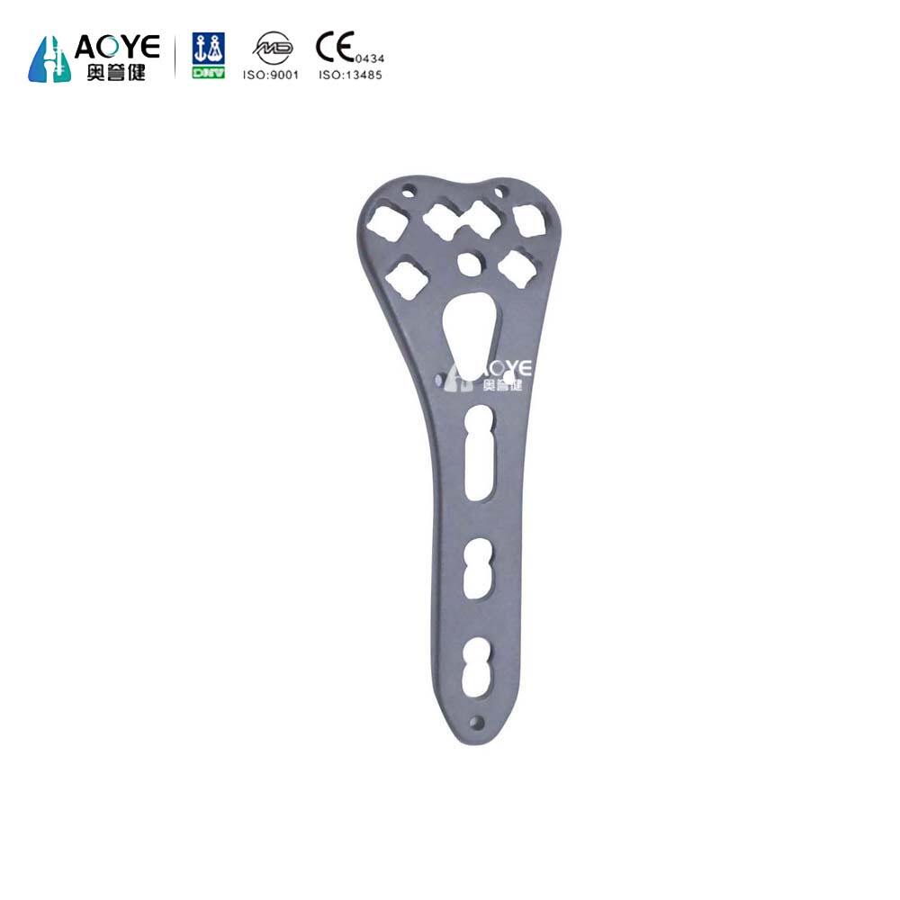 Distal Radius Volar Double-column Locking Plate-I