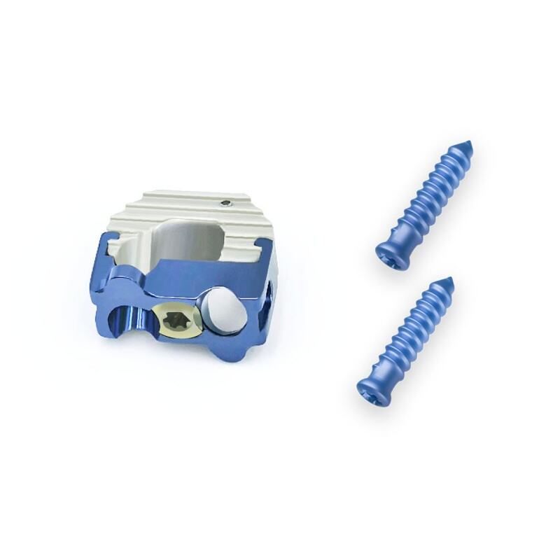 Cervical PEEK Cage (2 Locking Screws)