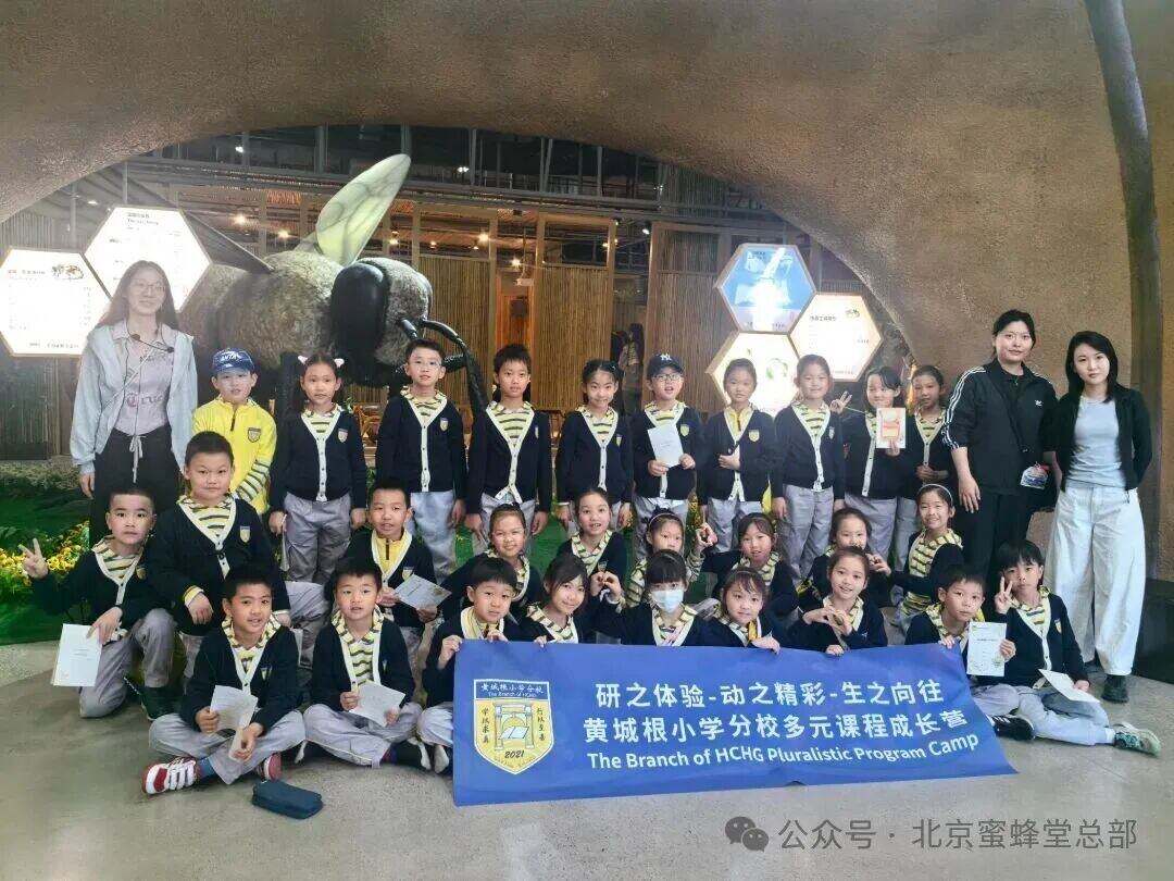 Apprendre par l'exploration : des élèves de plusieurs écoles primaires visitent le Musée des abeilles Beehall