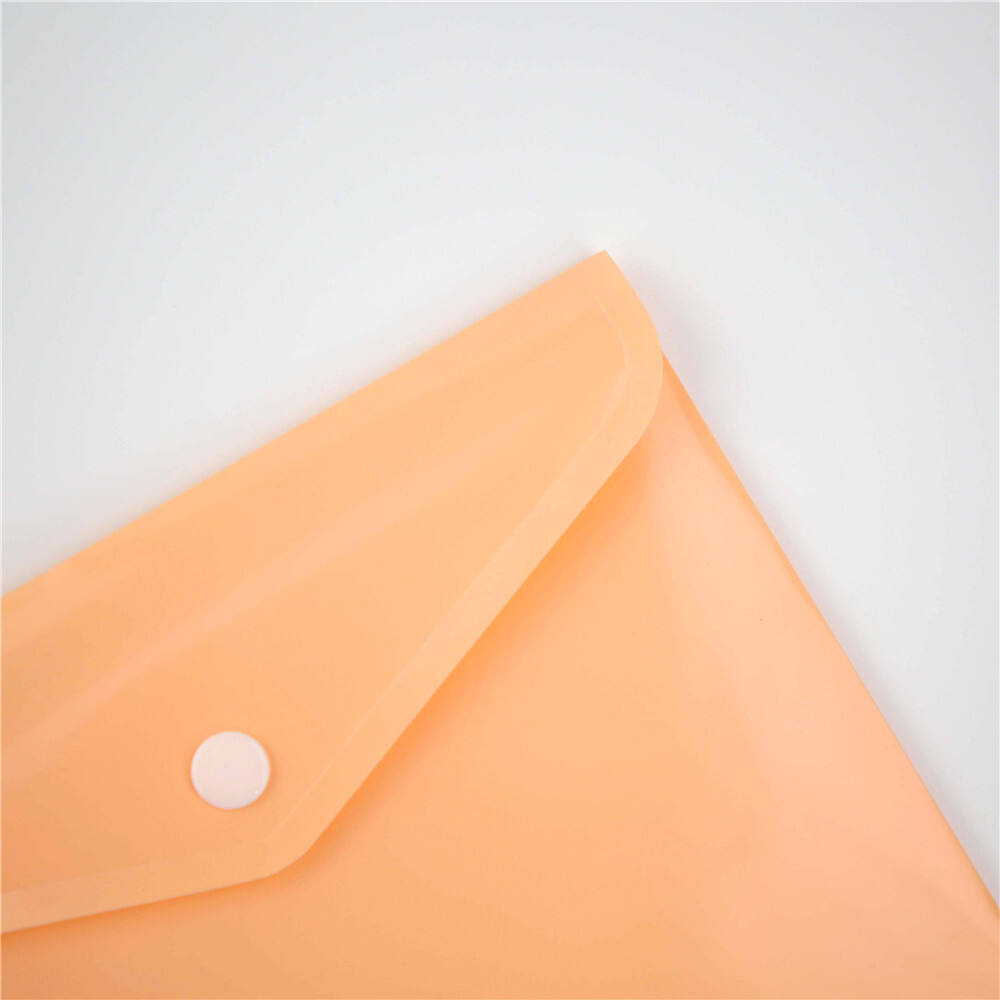 DOCUMENT BAG(FB1071-V+)