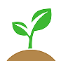 Biodegradable Bio-based <br>hal. PLA, Corn Starch, Wheat Straw 