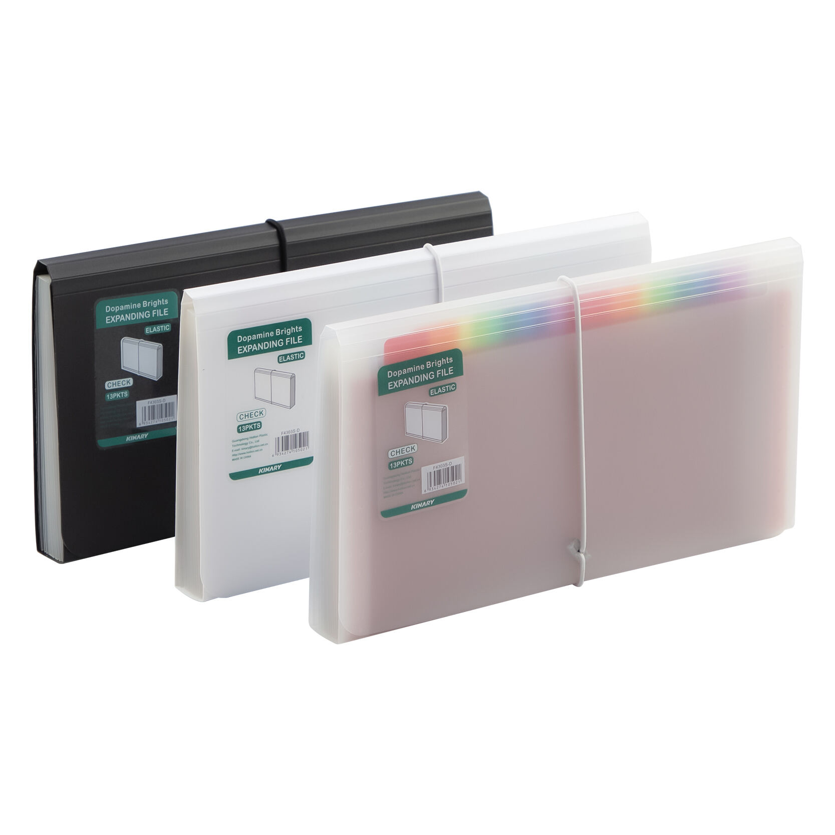 F4303S-D | Check Size Expanding File with Elastic Band Closure