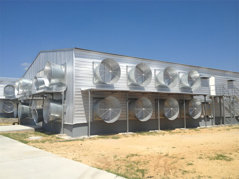 Maison en acier galvanisé à chaud pour élevage de poulets