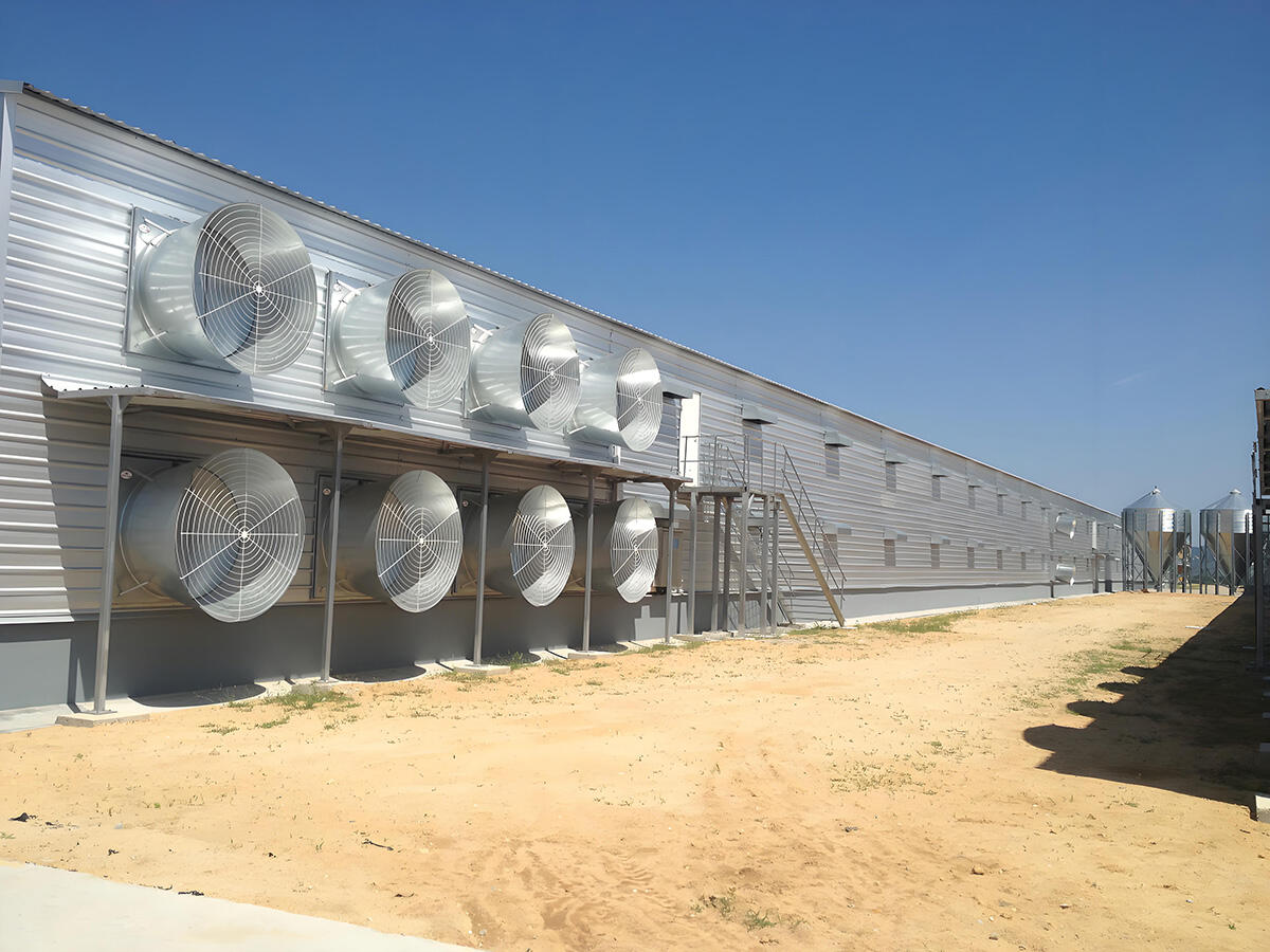 https://shopcdnpro.grainajz.com/category/434121/3590/efed7c103d1a7098a18a61f1f60841f0/Agricultural%20Shed.jpg