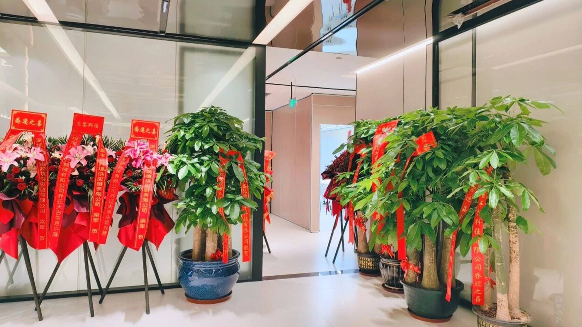 Podofo Ascends to New Heights (5).jpg