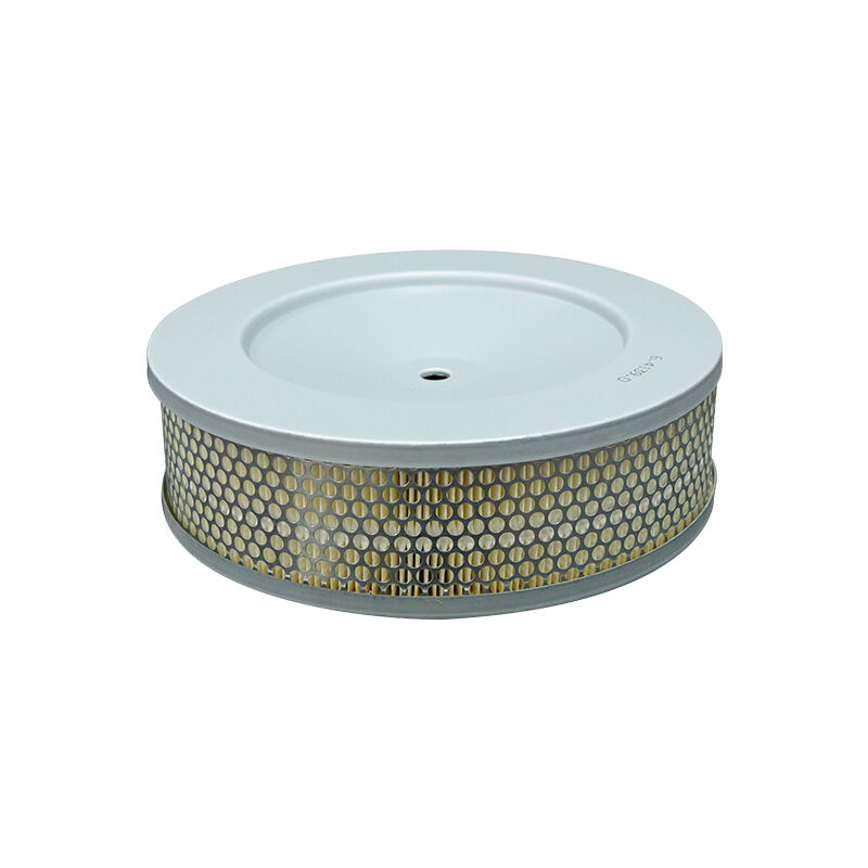How to Identify and Solve Common Problems with Air Filter Elements?