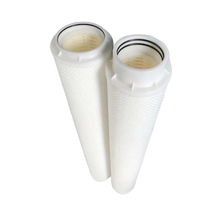 How to Choose the Right RO Water Filter for Your Needs